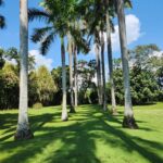 listing image thumbnail with ID 67735