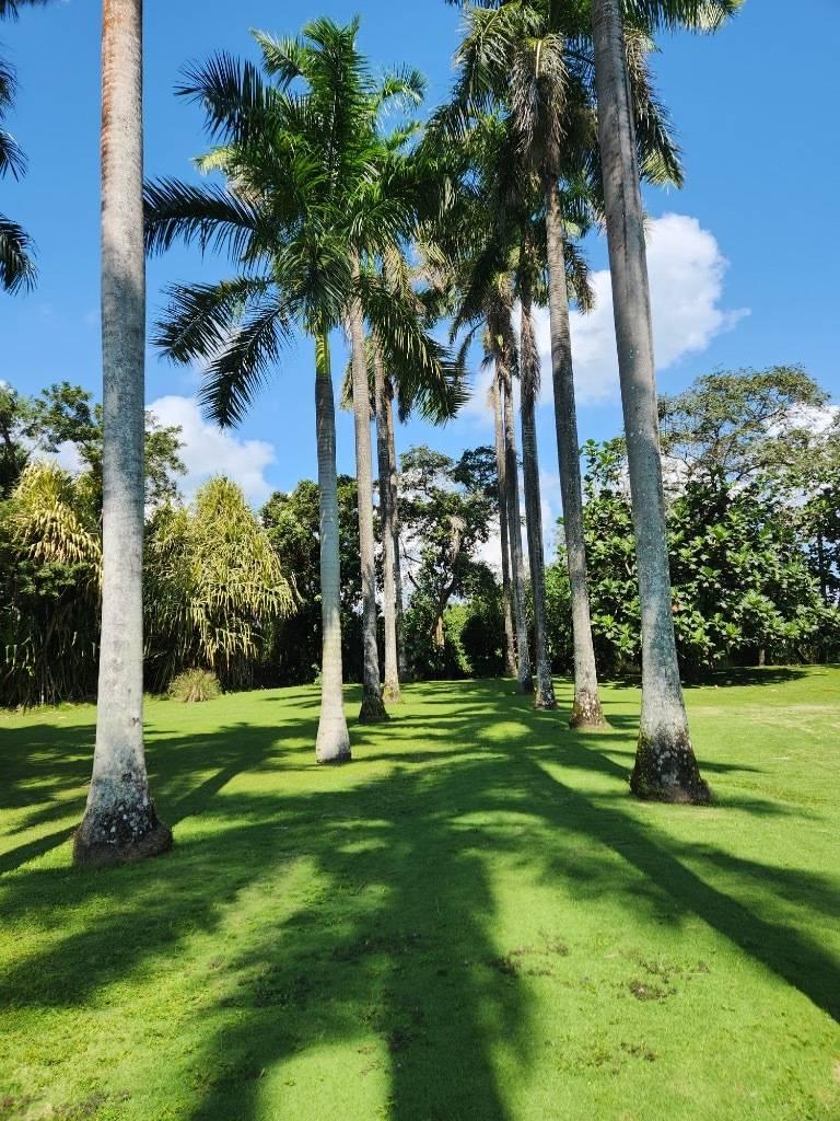 listing image with ID 67735