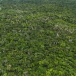 listing image thumbnail with ID 67089