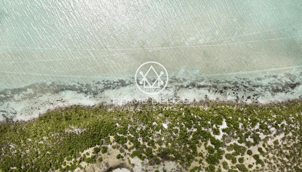 listing image with ID 69275