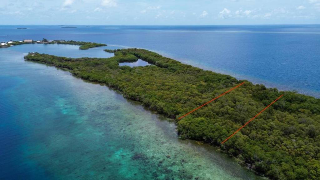 listing image with ID 65073