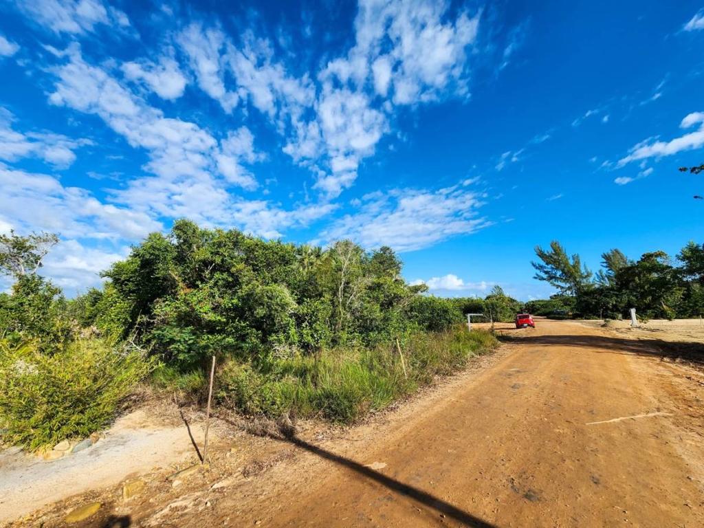 listing image with ID 63856