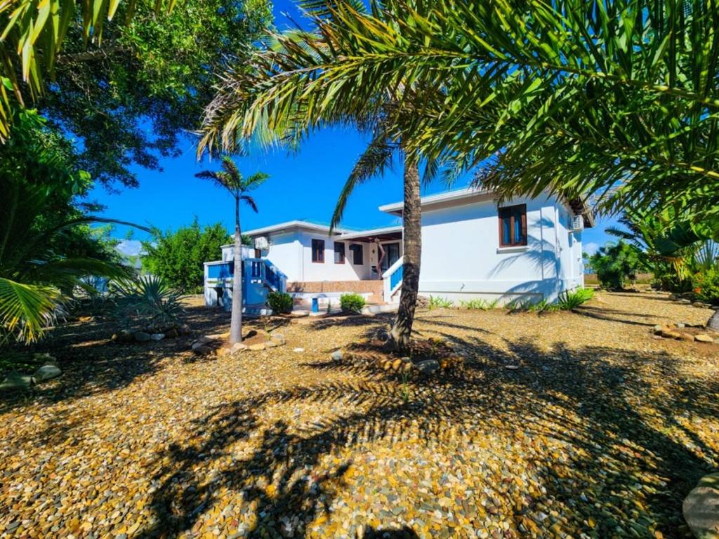 listing image with ID 67281