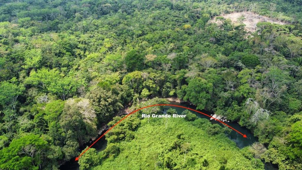 listing image with ID 64854