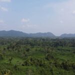 listing image thumbnail with ID 64188