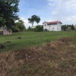 listing image thumbnail with ID 67044