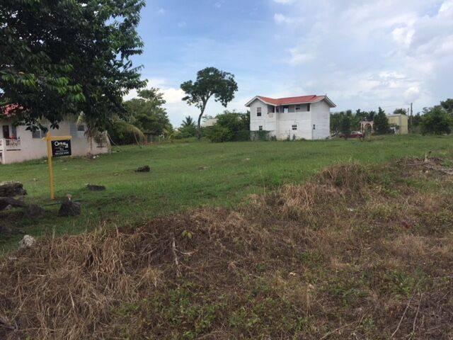 listing image with ID 67044