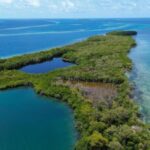 listing image thumbnail with ID 65866