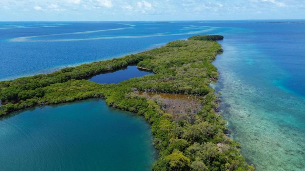 listing image with ID 65866