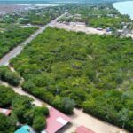 listing image thumbnail with ID 67331