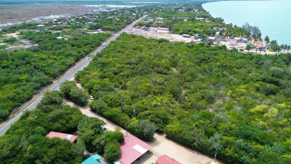 listing image with ID 67331