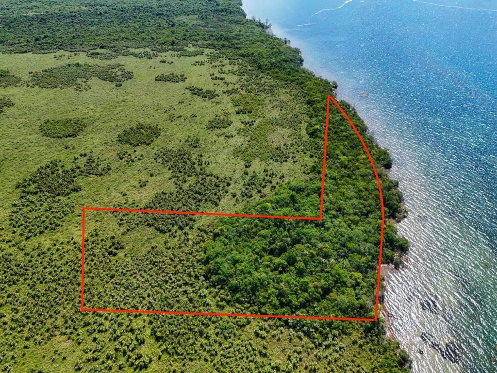 listing image with ID 63733