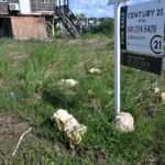 listing image thumbnail with ID 63883