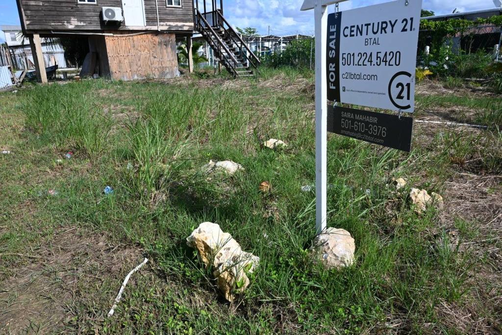 listing image with ID 63883