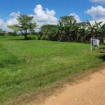 listing image thumbnail with ID 67718