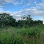 listing image thumbnail with ID 65030