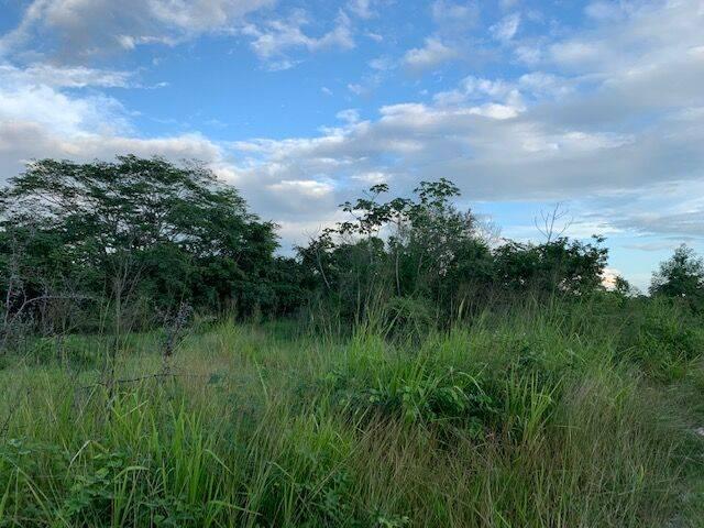 listing image with ID 65030