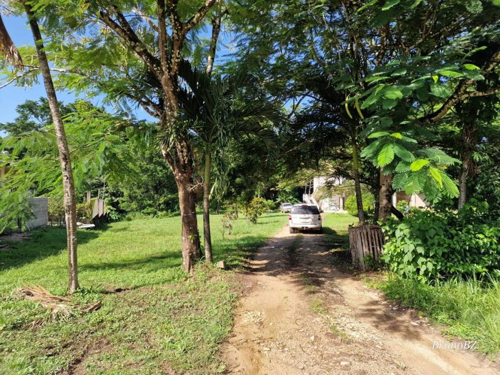 listing image with ID 63906