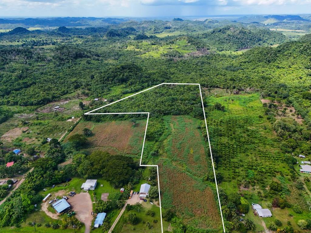 listing image with ID 65629