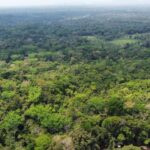 listing image thumbnail with ID 69170