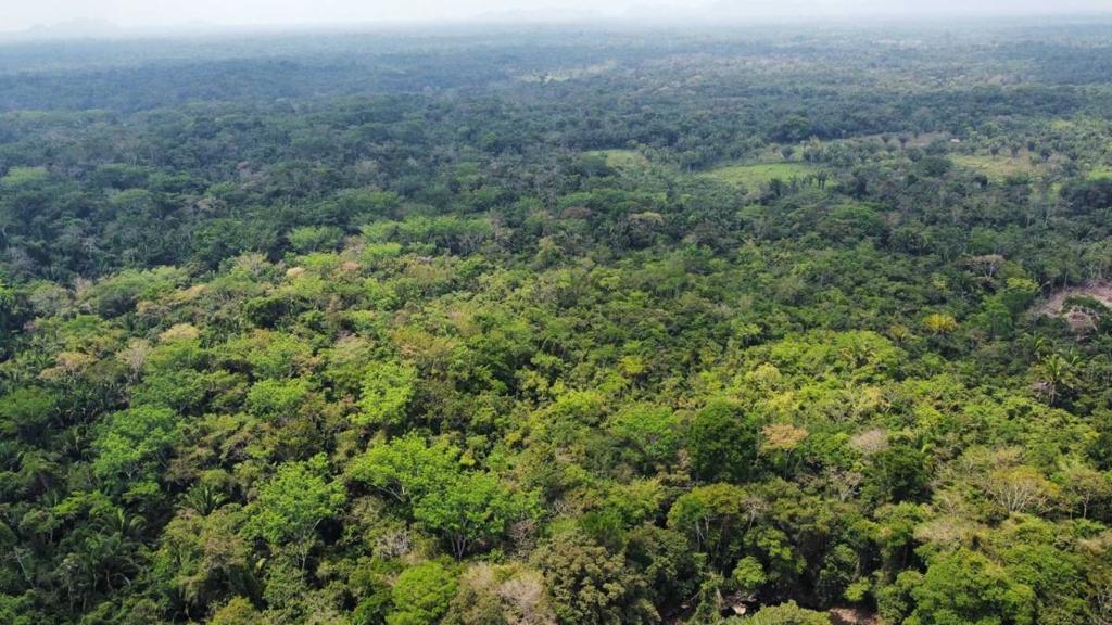 listing image with ID 69170