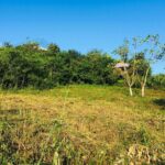 listing image thumbnail with ID 67216