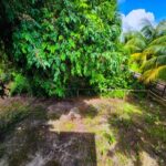 listing image thumbnail with ID 64659