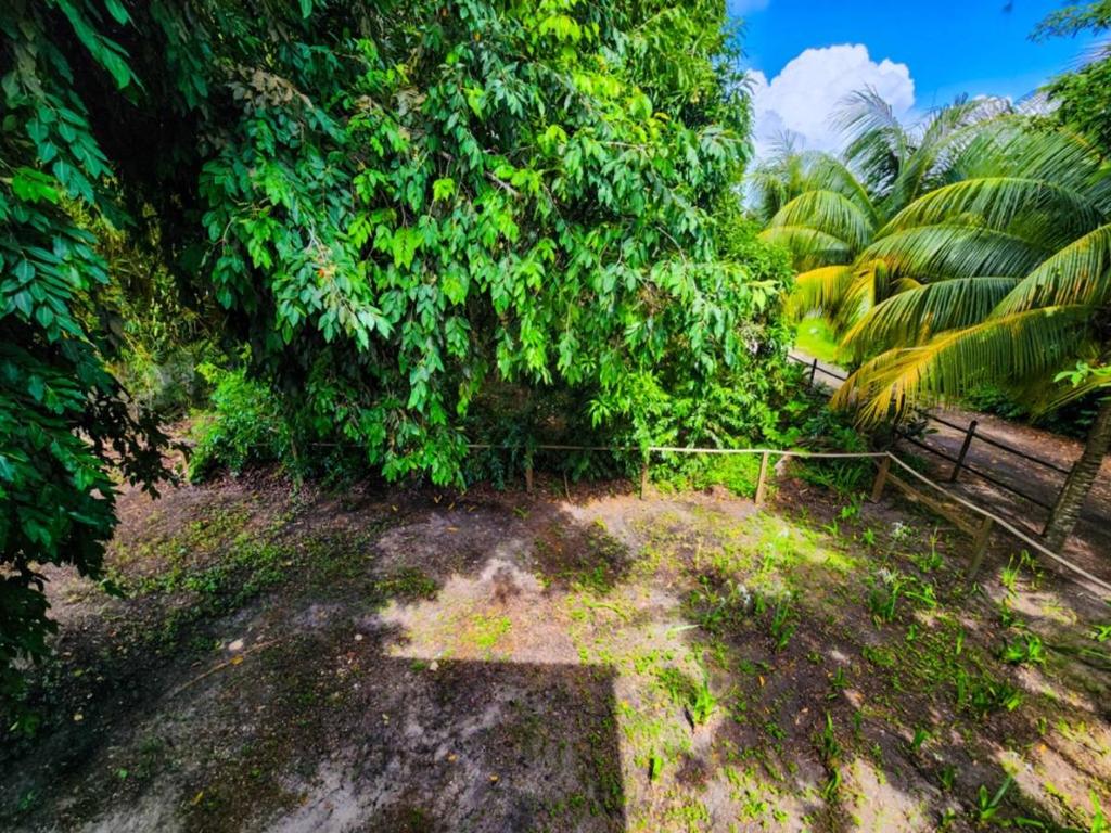 listing image with ID 64659