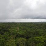 listing image thumbnail with ID 66280