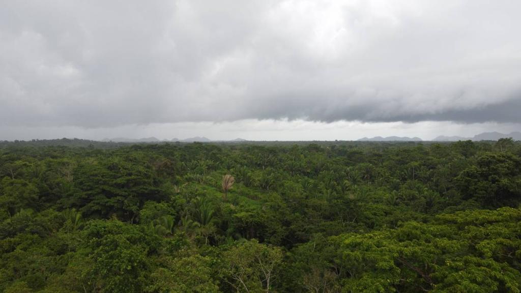 listing image with ID 66280