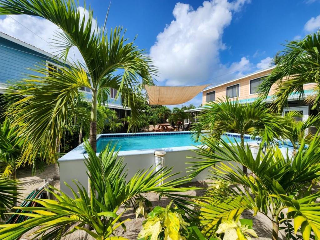 listing image with ID 68050