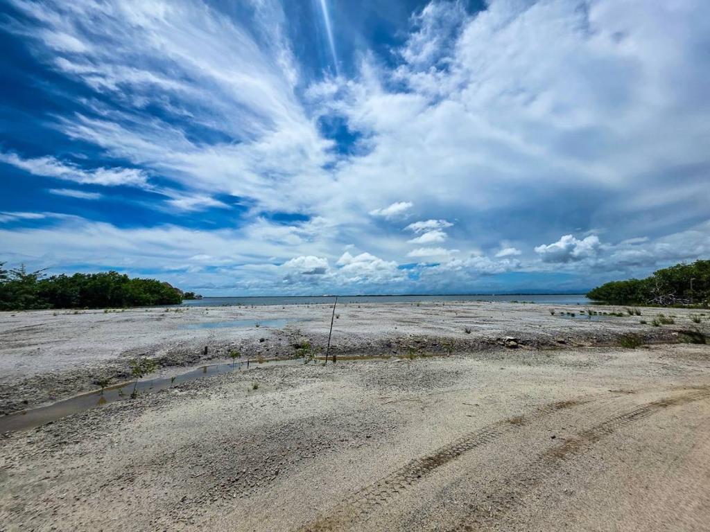 listing image with ID 67594