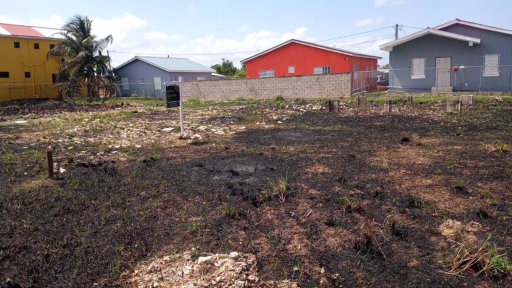 listing image with ID 66527