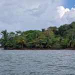 listing image thumbnail with ID 63703