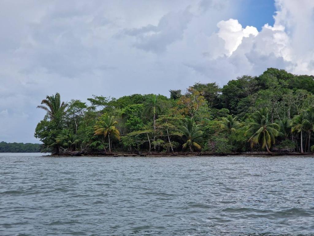 listing image with ID 63703