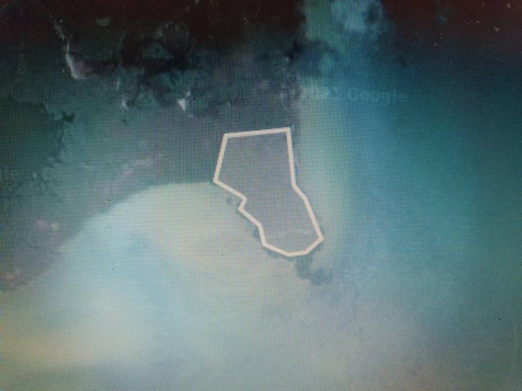 listing image with ID 64750