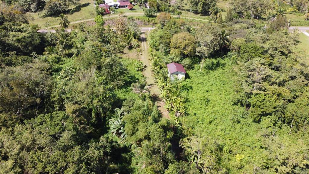 listing image with ID 64247