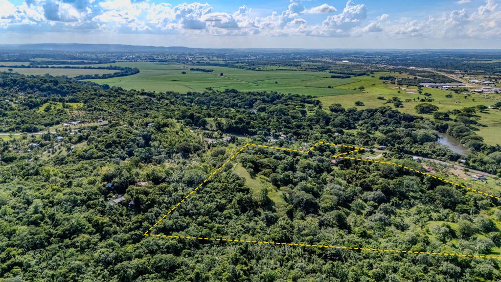 listing image with ID 68482