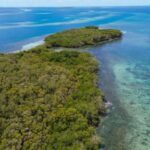 listing image thumbnail with ID 65094