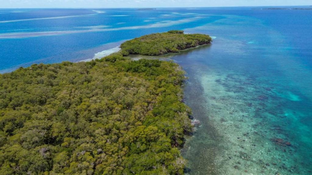 listing image with ID 65094