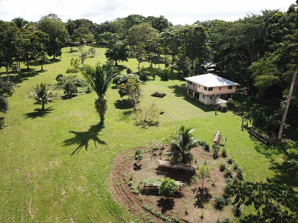 listing image with ID 67343