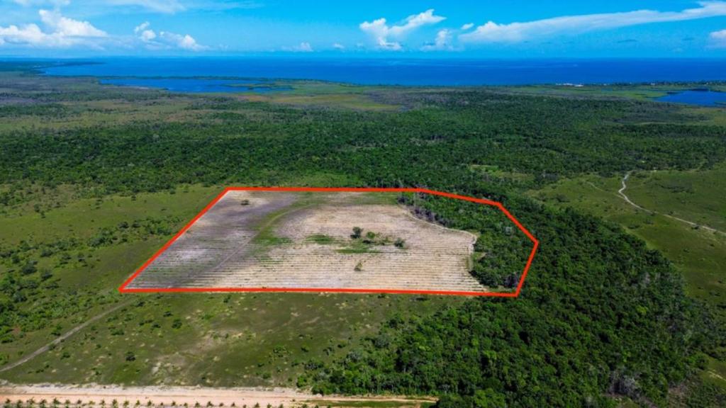 listing image with ID 65286