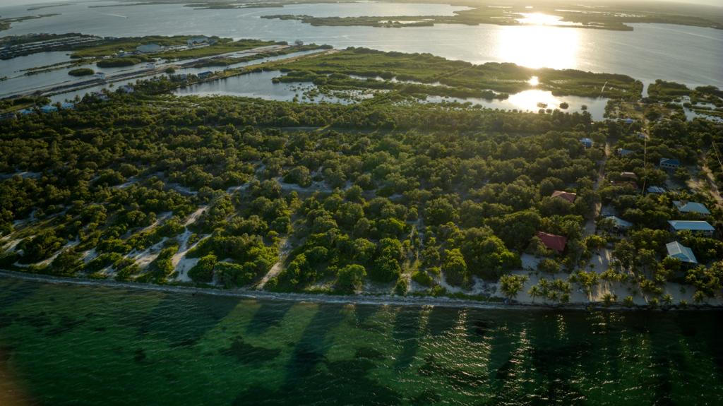 listing image with ID 68732