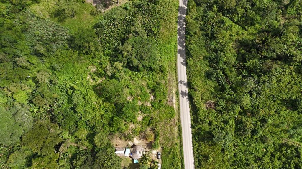 listing image with ID 66144