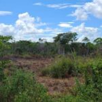 listing image thumbnail with ID 66569