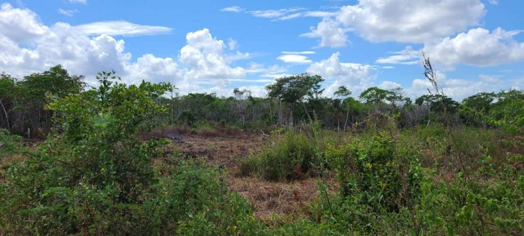 listing image with ID 66569