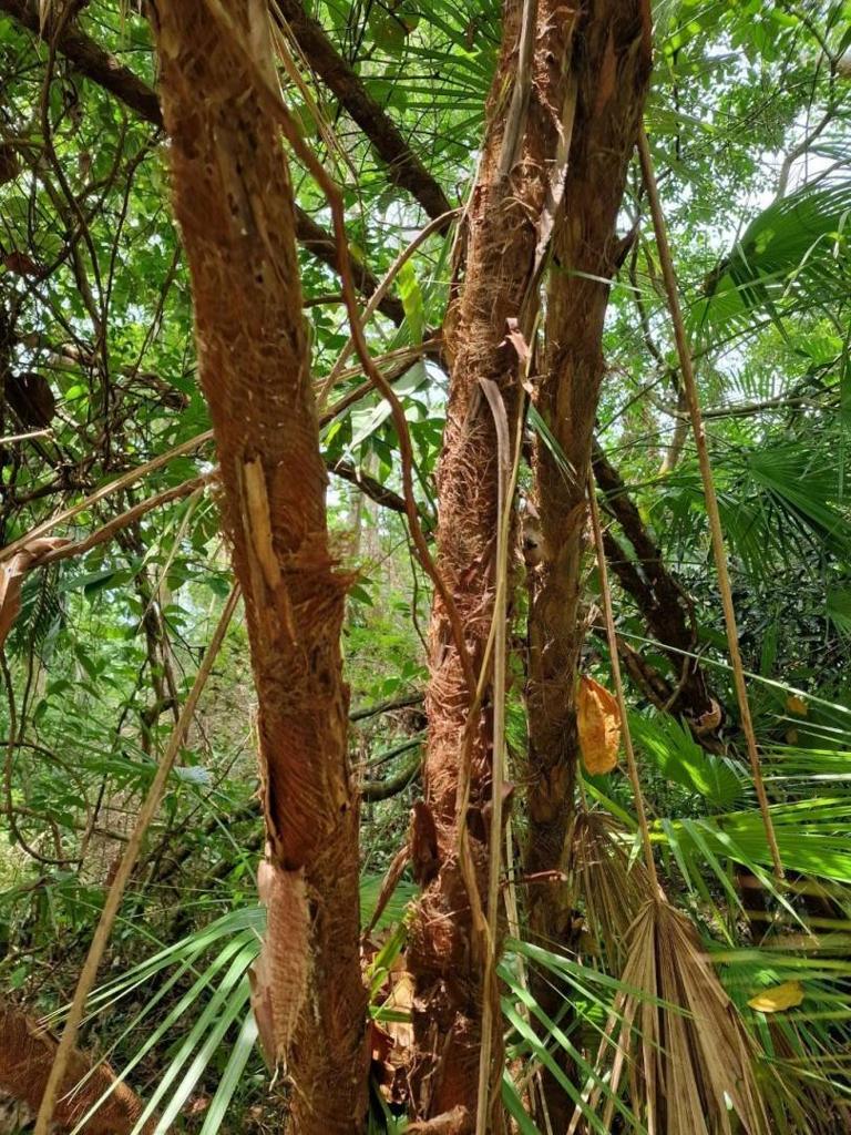 listing image with ID 63980