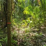 listing image thumbnail with ID 67097