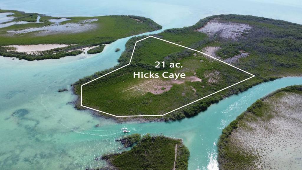 listing image with ID 65988