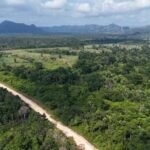 listing image thumbnail with ID 68068